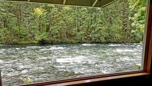 Ein Blick auf einen Fluss durch ein Fenster, umgeben von dichtem Wald.