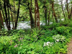 Terrain de l’hébergement 