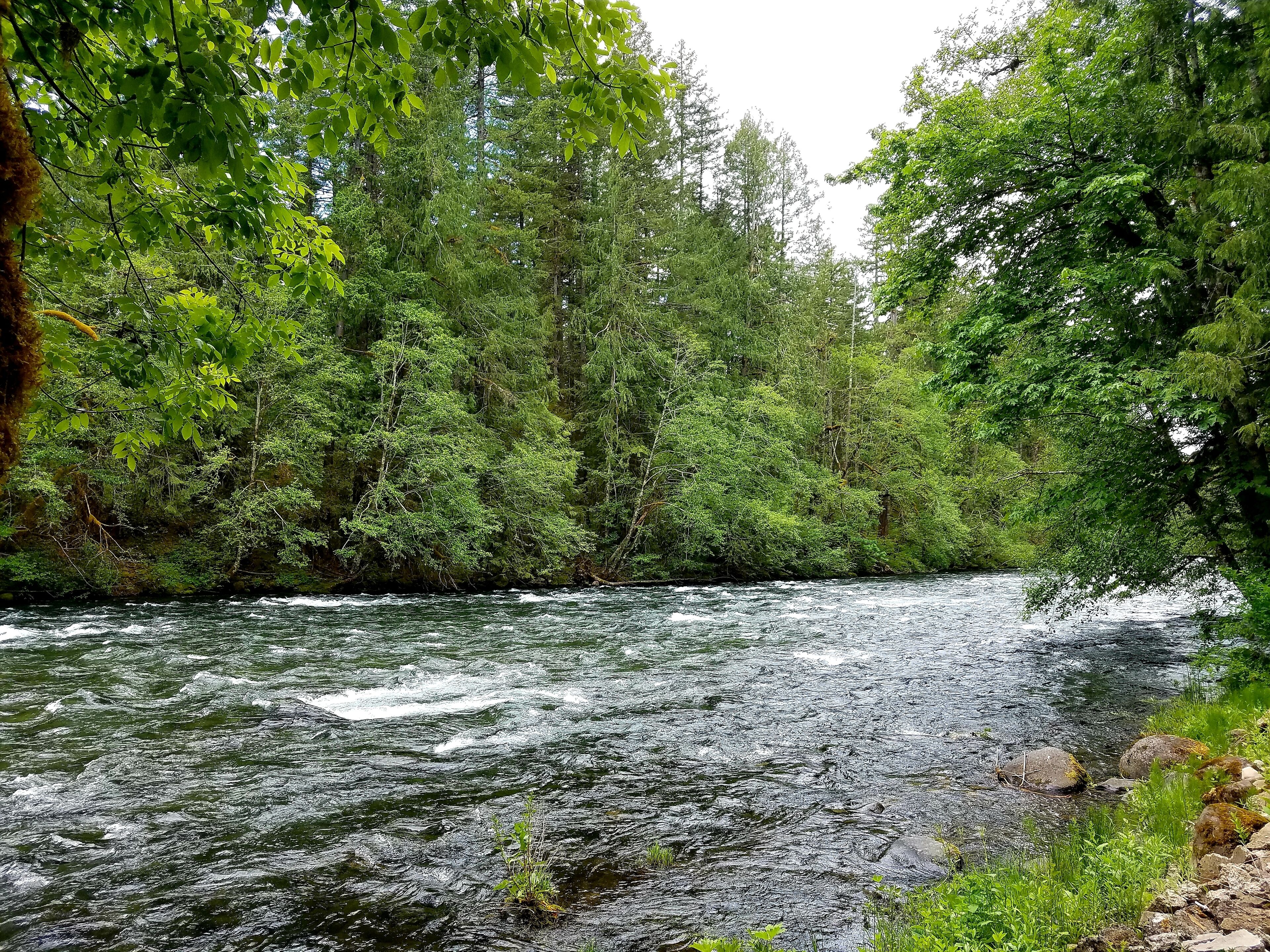 Une rivière qui traverse une zone boisée dense, avec des arbres et des rochers le long de ses rives.