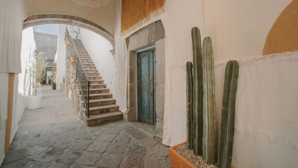 A stone staircase leading to a door, with a cactus plant on the right and a woven basket hanging from the ceiling. - Meson Hidalgo (San Miguel de Allende)