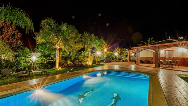 A swimming pool with two dolphins, surrounded by palm trees and a patio area with outdoor seating.