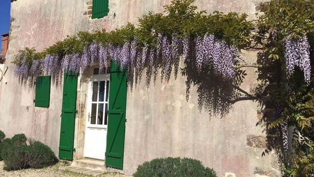 A rustic building with a white door, green shutters, and purple wisteria hanging over the entrance. - Maison à 10 km de la mer et à la Campagne - 6 Couchages (La Jonchère)