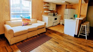 A compact living space with a kitchenette, a sofa, and a window.