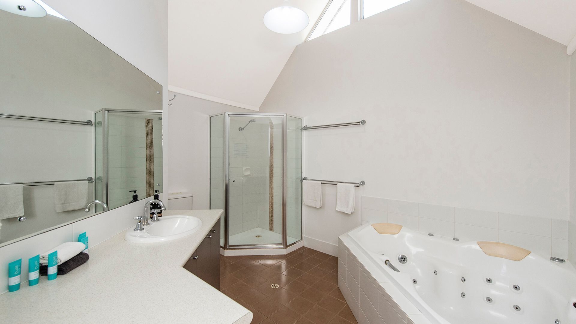 Shower, jetted tub, hair dryer