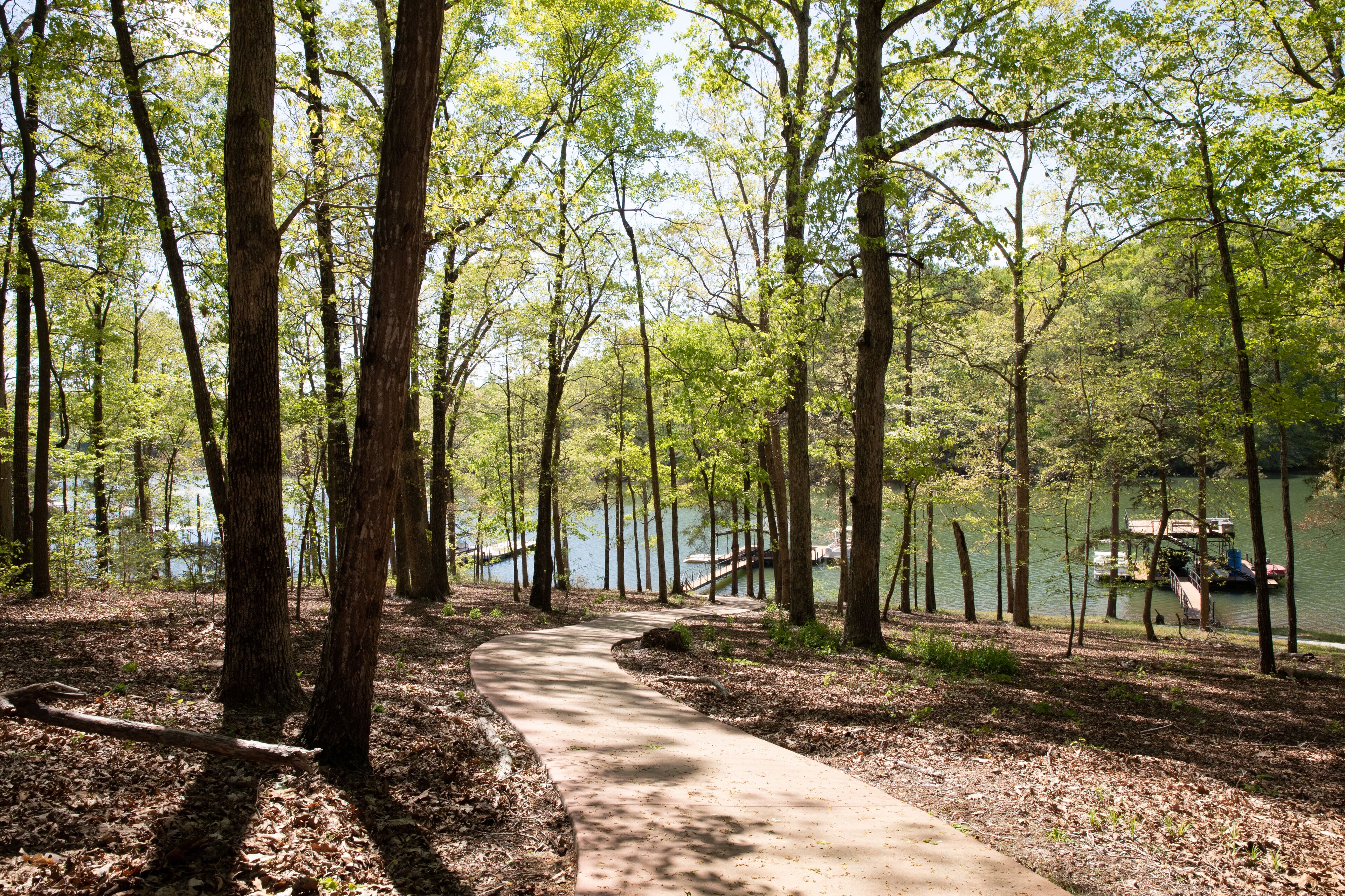 A forested area with a concrete path leading to a body of water.