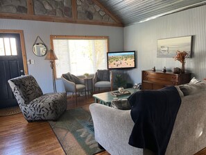 TV, DVD player, books, video library