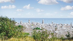 A rocky beach with stacks of stones and green vegetation in the foreground.