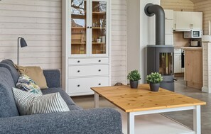 Smart-TV, Kamin