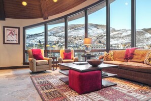 TV, fireplace, books