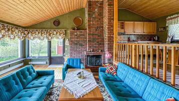 Télévision, cheminée, lecteur de DVD