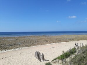 Ein sandiger Strand mit einer Holzzaun und vereinzelter Vegetation.