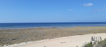 Maison Avec Jardin et Piscine Commune