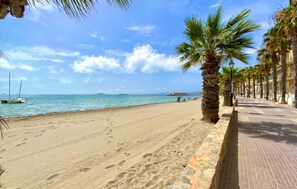 Une plage avec une promenade dallée bordée de palmiers, une étendue de sable et un ciel bleu dégagé.