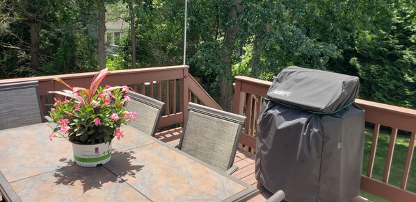 A patio with a table, chairs, a grill, and a potted plant. - Family Beach House, Private beach access! (Narragansett)