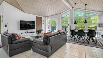 TV, fireplace, DVD player