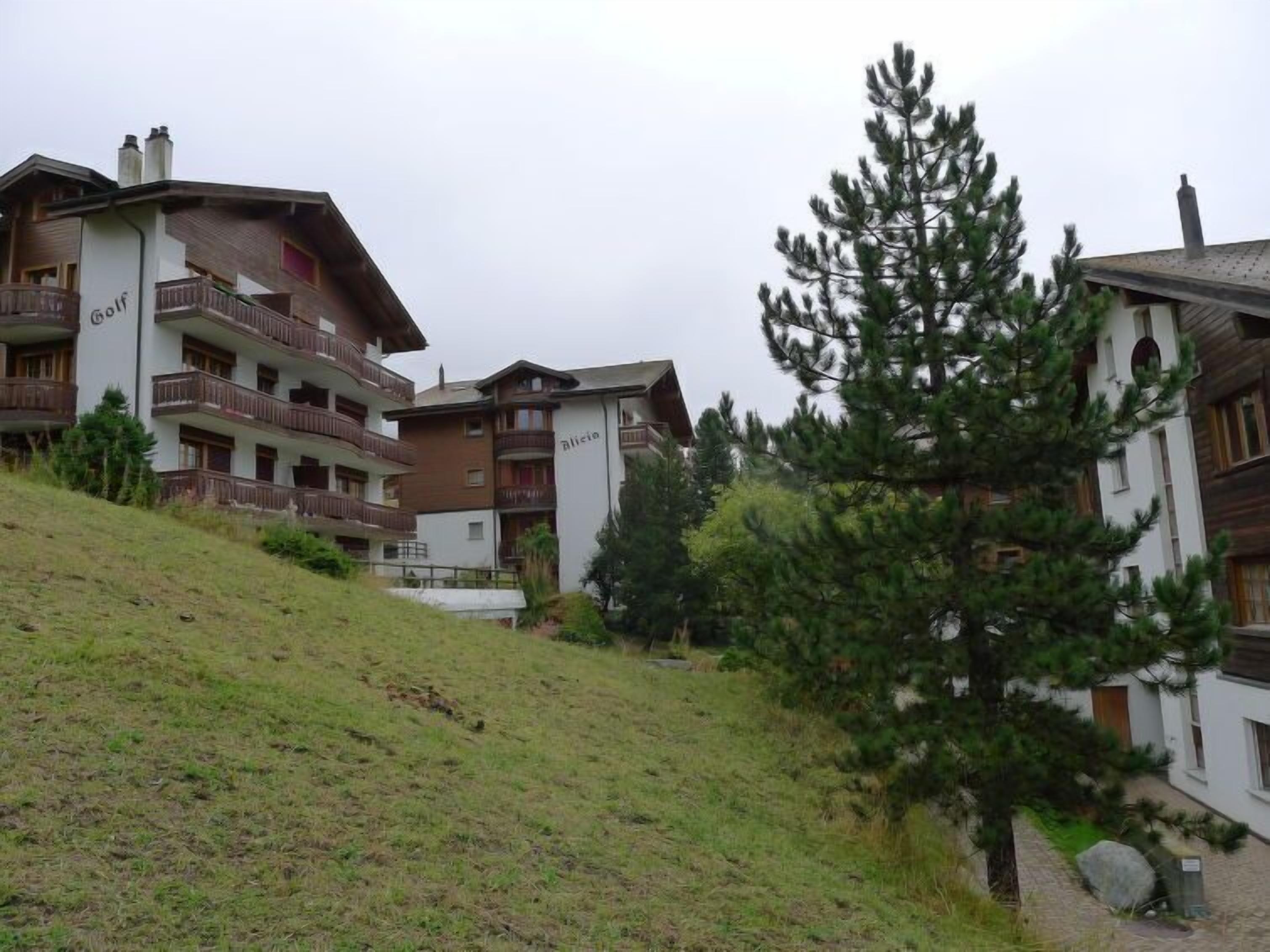 Un edificio de varios pisos con balcones, una pista de esquí al fondo y un pino en primer plano.