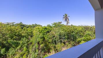 A balcony with a view of dense green foliage and a palm tree in the distance.
