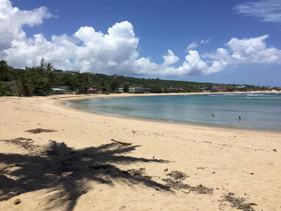 Une plage de sable fin bordée d’une eau d’un bleu limpide, avec des palmiers et des maisons en arrière-plan.