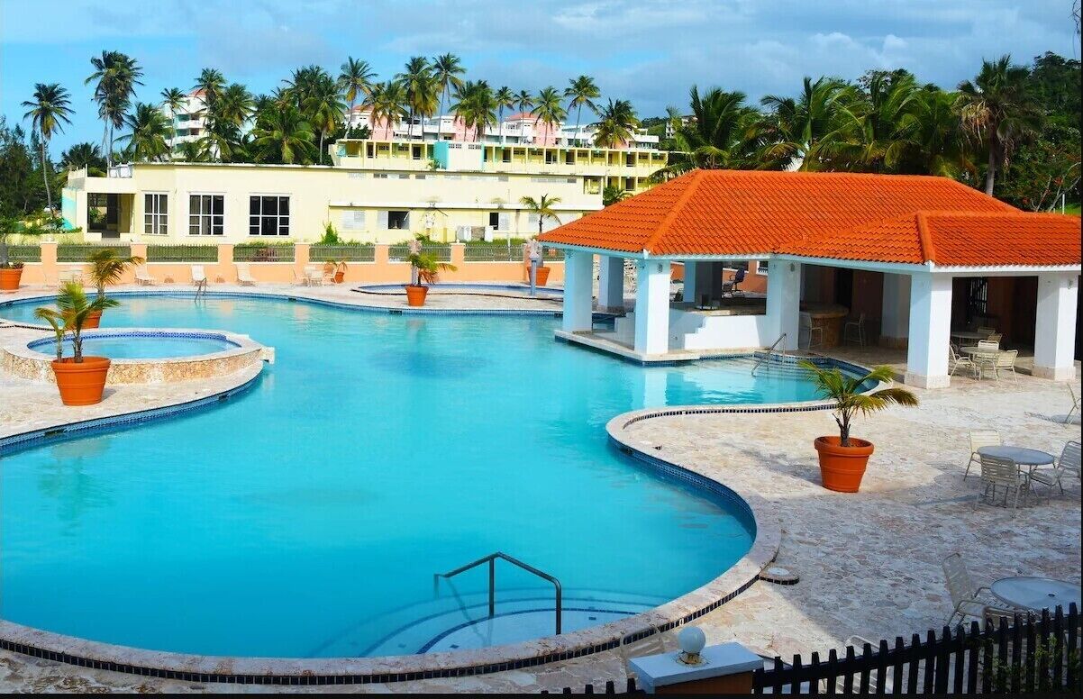 Golden Dream Studio 306 B