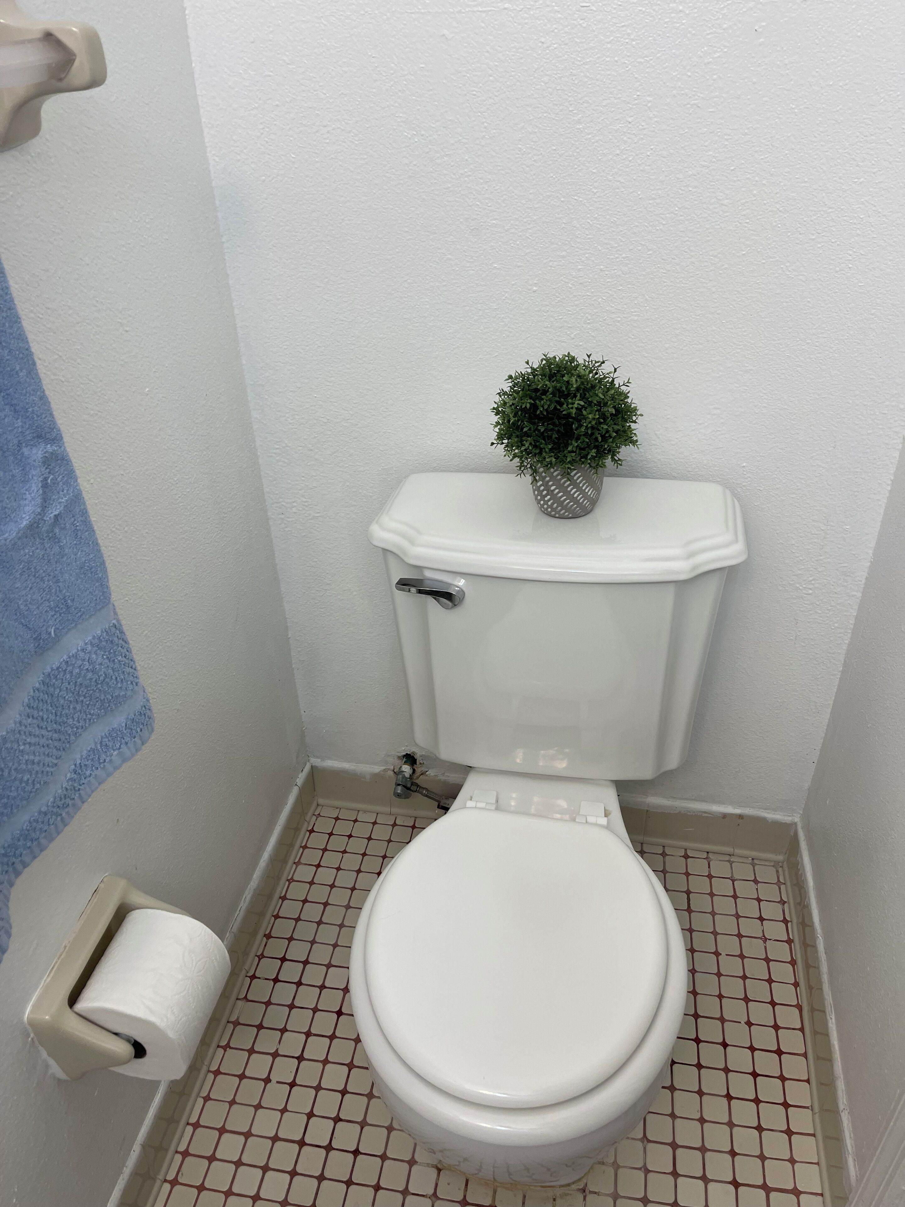 Un inodoro pequeño y blanco con una planta encima, un rollo de papel higiénico y un piso de baldosas.