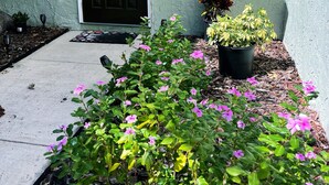 A house entrance with a black door, a number '3159' above it, and a garden with pink flowers and potted plants. - Hello Sunshine 321.. Lift Off (Titusville)