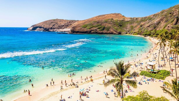 Une plage aux eaux turquoise et limpides, bordée de palmiers et d’une colline rocheuse.