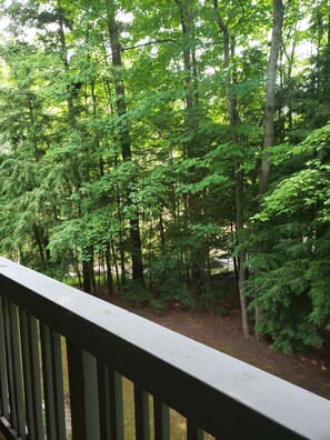 Property grounds - The Shores Condo W/ King Bed<br>Nightly, Weekly or Monthly (Williamsburg)