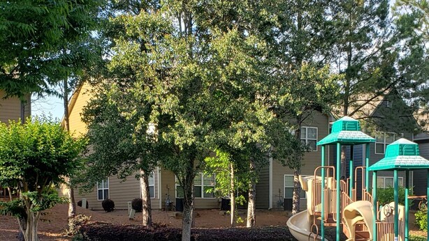 A playground with slides and climbing structures, surrounded by well-maintained grass and trees. - Only 2 miles from shopping, banking, food, entertainment,15 to downtown Atlanta (Lithonia)
