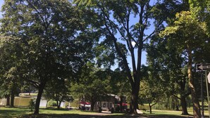 Un parque con árboles, un lago y un edificio con un paraguas rojo.