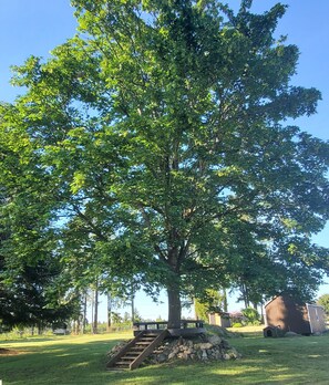 Property grounds - Welcome to Cindy's Place! Dodecagon retro romantic home in the Country! (Yelm)