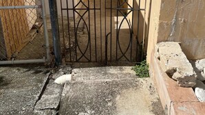 A gated entrance to a property with a narrow pathway leading to a building.