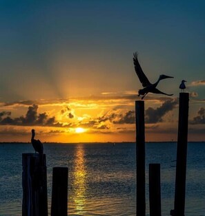 A sunset over a calm sea with birds perched on wooden posts.
