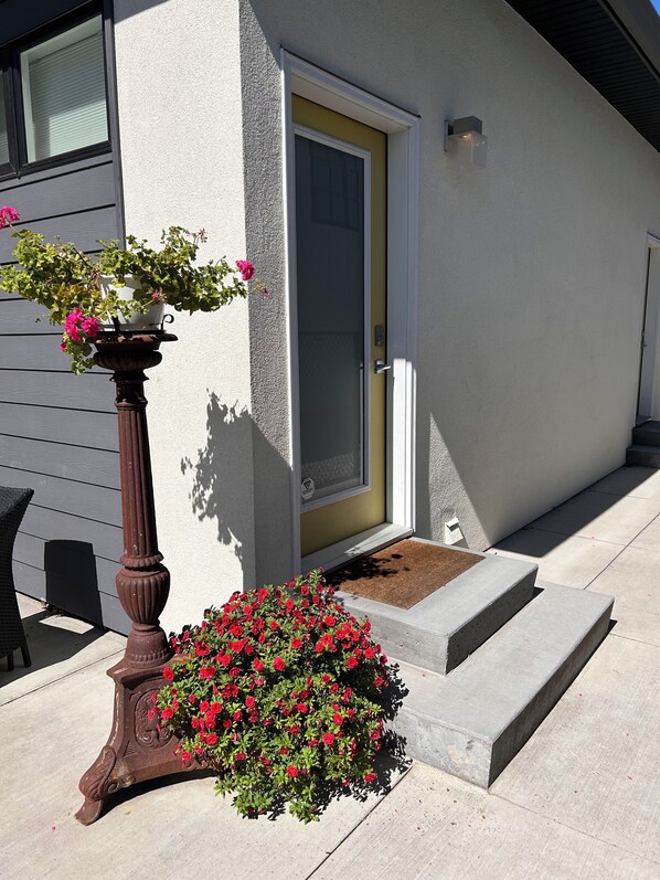 A house with a front door, a potted plant with flowers, and a concrete step leading to the door.