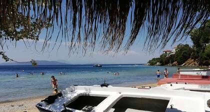 Eleni Villa II for 6-7 pers.- Mais. house - in Horto Pelion