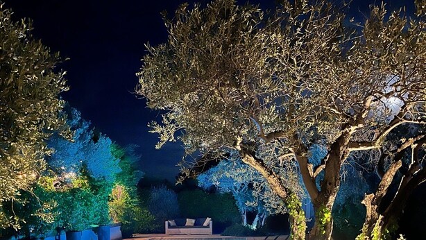 A swimming pool surrounded by trees and potted plants, with a bench and a pathway leading to it. - Belle Villa au Coeur des Alpilles (Maussane-les-Alpilles)