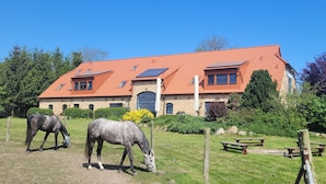 A large building with a red-tiled roof, surrounded by a grassy area with two horses grazing. - 08 holiday apartment with terrace - holiday farm on Rügen (Putbus)