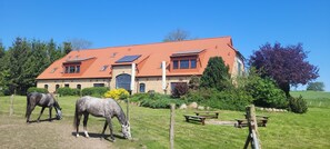 A large building with a red-tiled roof, surrounded by a grassy area with two horses grazing.