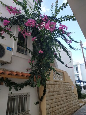 Apartment, 1 Bedroom, Balcony | Exterior - Apartment for 4 Personsn the Center (Malevizi)