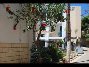 Apartment, 1 Bedroom, Balcony | Property grounds - Apartment for 4 Personsn the Center (Malevizi)