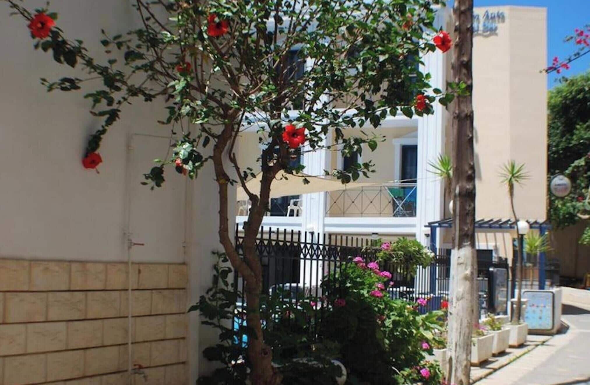 Apartamento, 1 quarto, sacada | Fachada