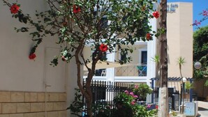 Una stretta via con un albero e fiori, un edificio bianco con balconi e un recinto.