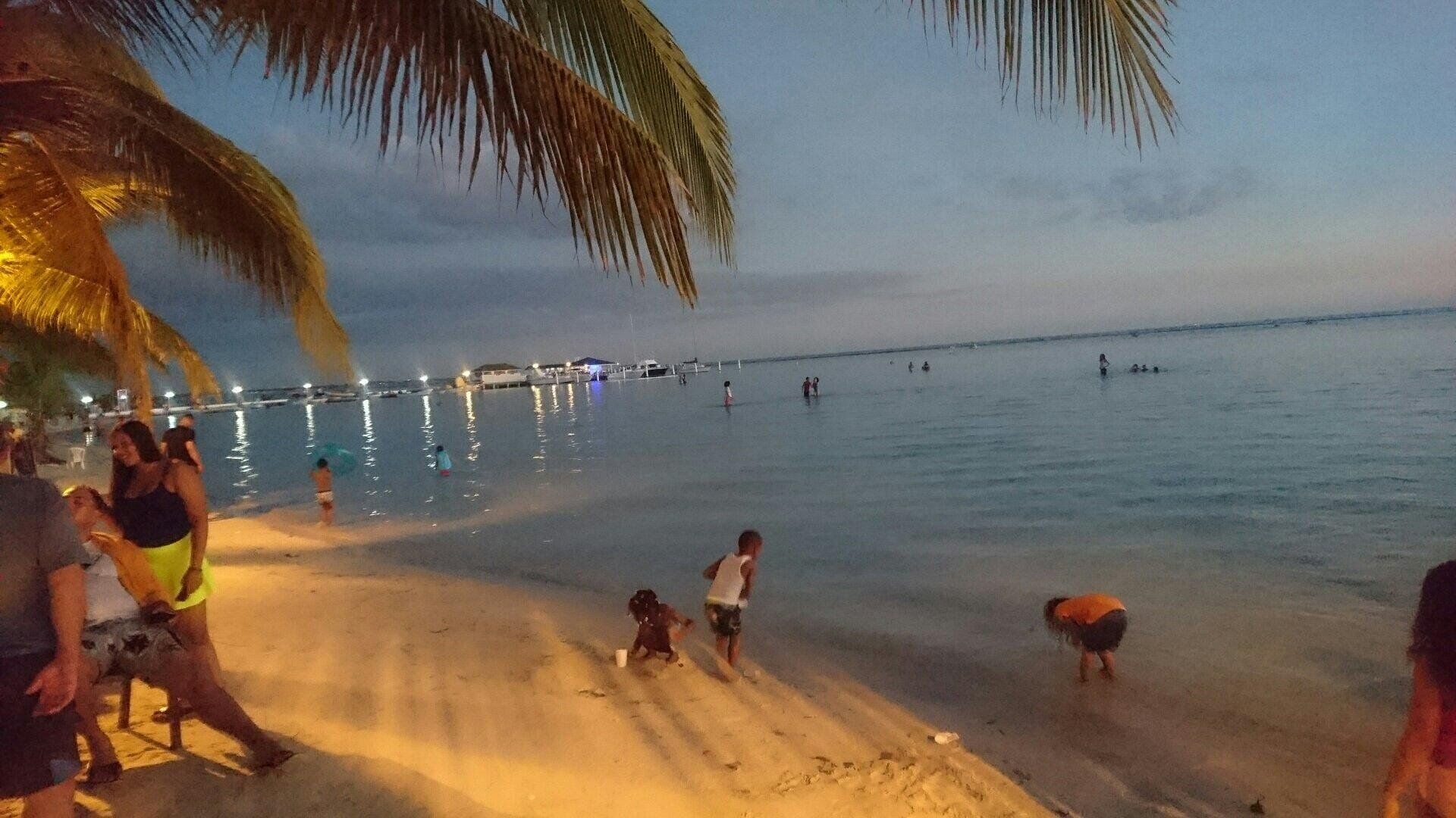 A beach with people, palm trees, and a pier in the background.