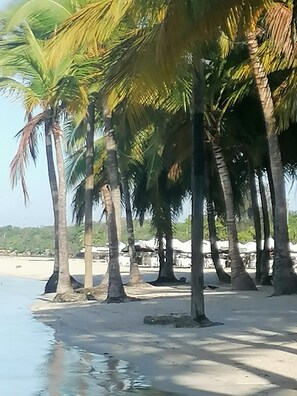 Beach - Room-apartment Monocal in Boca Chica (Boca Chica)