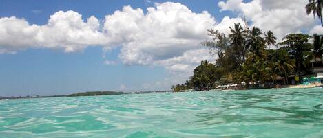 Chambre, 1 chambre, fumeur, vue sur le jardin | Plage