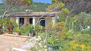 A Mediterranean-style villa with a tiled roof, surrounded by lush greenery and a stone pathway.