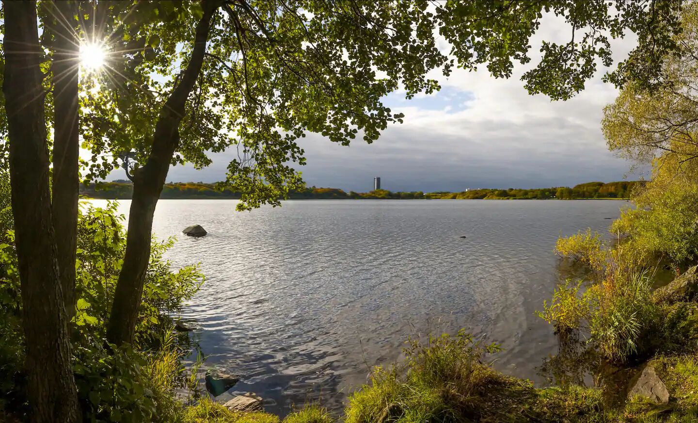 A serene lakeside view with trees framing the scene, a clear sky, and a distant building.