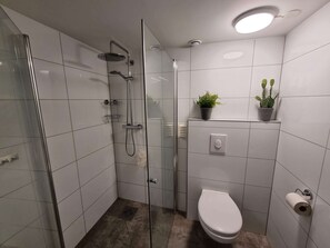 A modern bathroom with a glass shower enclosure, a toilet, and a small potted plant on the wall. - Room-deluxe Room 4 Rent, King-size Bed, (Stavanger)