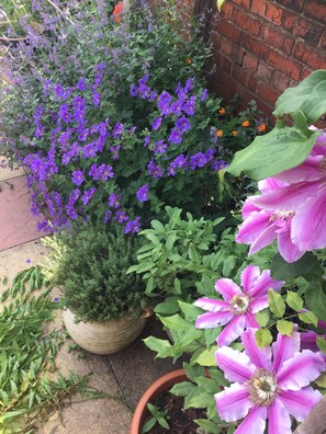 House, 2 Bedrooms, Patio, Garden View | View from property