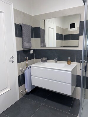 Shower, hair dryer, bidet, towels