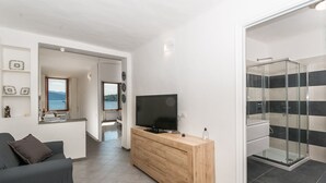 Een moderne woonkamer met een televisie, een houten kast en een bank. Een douchecabine met glazen wanden is zichtbaar.